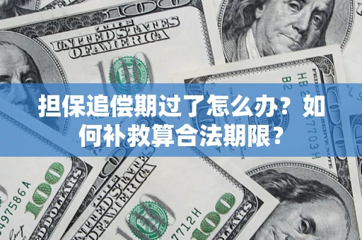 济南担保追偿期过了怎么办？如何补救算合法期限？