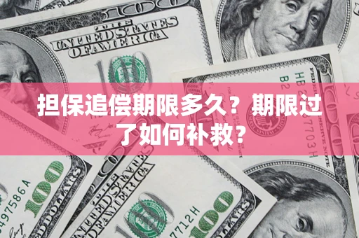济南担保追偿期限多久？期限过了如何补救？