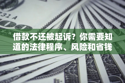 济南借款不还被起诉？你需要知道的法律程序、风险和省钱技巧